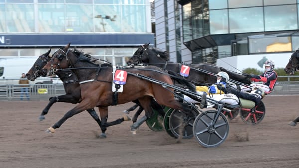 Foto: LARS JAKOBSSON / TR BILD