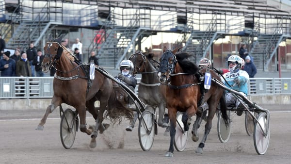 Foto: LARS JAKOBSSON / TR BILD