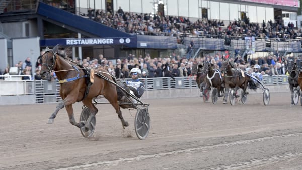 Foto: LARS JAKOBSSON / TR BILD