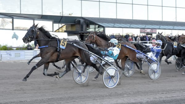 Foto: LARS JAKOBSSON / TR BILD