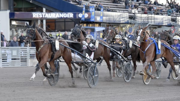 Foto: LARS JAKOBSSON / TR BILD