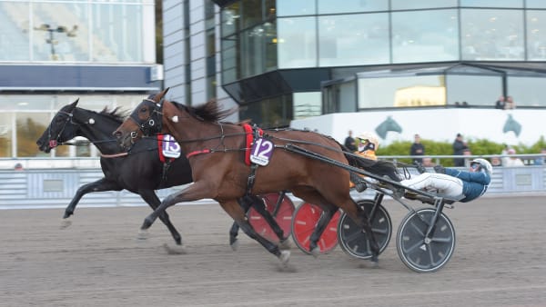 Foto: LARS JAKOBSSON / TR BILD