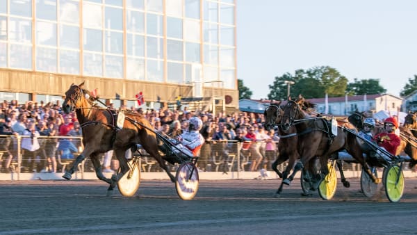 Foto: MIKAEL ROSENQUIST / TR BILD