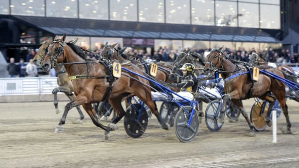 Foto: LARS JAKOBSSON / TR BILD