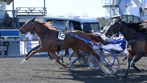 Foto: LARS JAKOBSSON / TR BILD