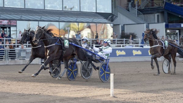 Foto: LARS JAKOBSSON / TR BILD