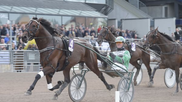 Foto: LARS JAKOBSSON/TR BILD