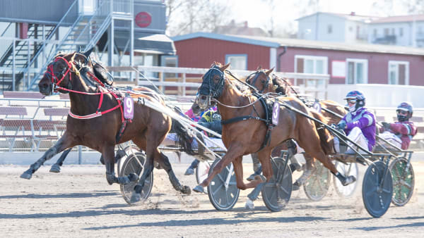 Foto: MIKAEL ROSENQUIST / TR BILD