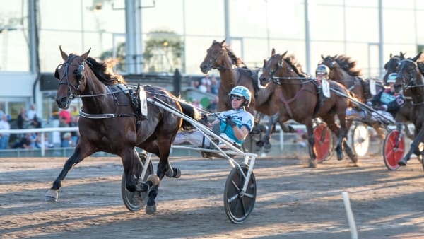 Foto: MIKAEL ROSENQUIST / TR BILD