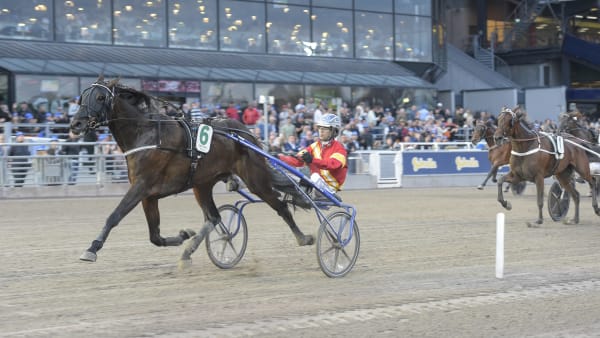 Foto: LARS JAKOBSSON / TR BILD