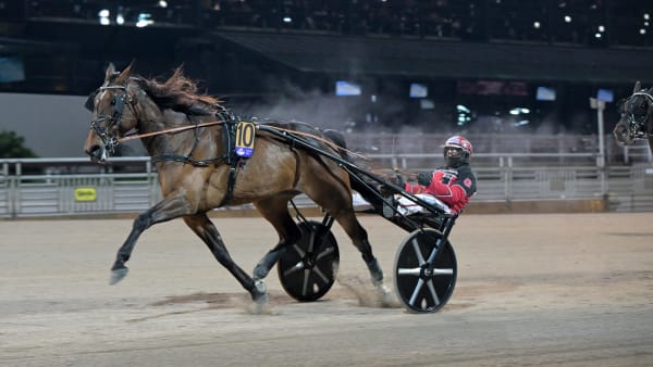 Foto: LARS JAKOBSSON / TR BILD