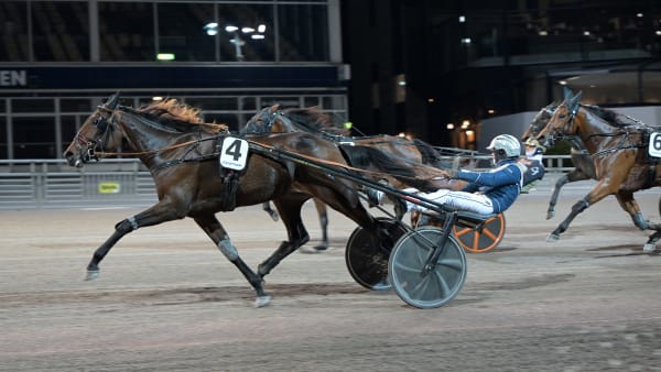 Foto: LARS JAKOBSSON / TR BILD