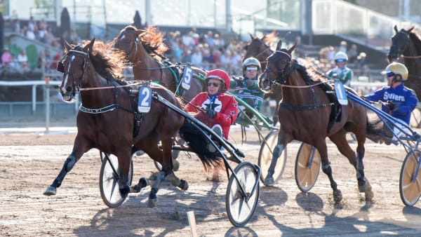 Foto: MIKAEL ROSENQUIST / TR BILD