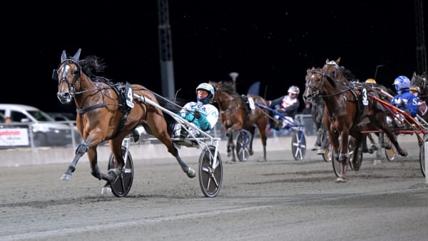 Foto: LARS JAKOBSSON / TR BILD