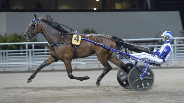 Foto: LARS JAKOBSSON / TR BILD