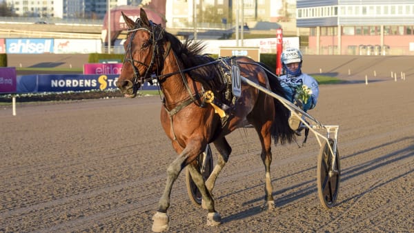Foto: LARS JAKOBSSON / TR BILD