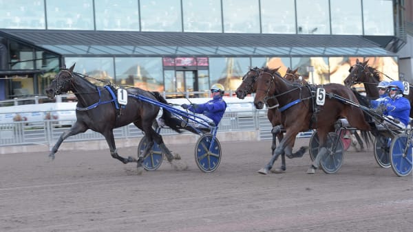 Foto: LARS JAKOBSSON / TR BILD