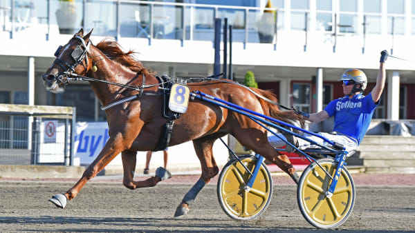 Foto: MALIN ALBINSSON / TR BILD