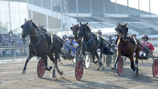 Foto: LARS JAKOBSSON / TR BILD