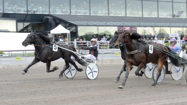 Foto: LARS JAKOBSSON / TR BILD