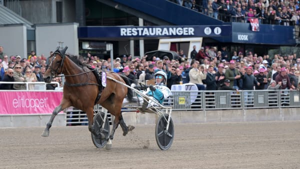 Foto: LARS JAKOBSSON / TR BILD