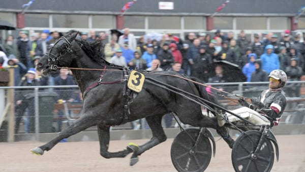 Foto: LARS JAKOBSSON / TR BILD