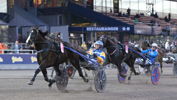 Foto: LARS JAKOBSSON / TR BILD
