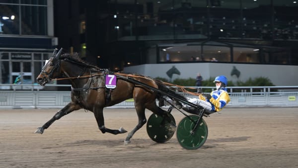 Foto: LARS JAKOBSSON / TR BILD