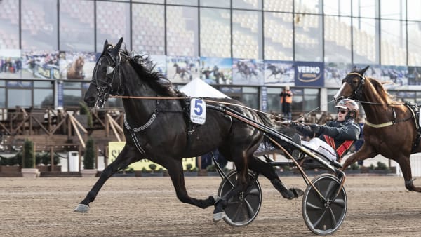 Foto: LENA EMMOTH / TR BILD