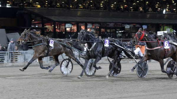 Foto: LARS JAKOBSSON / TR BILD