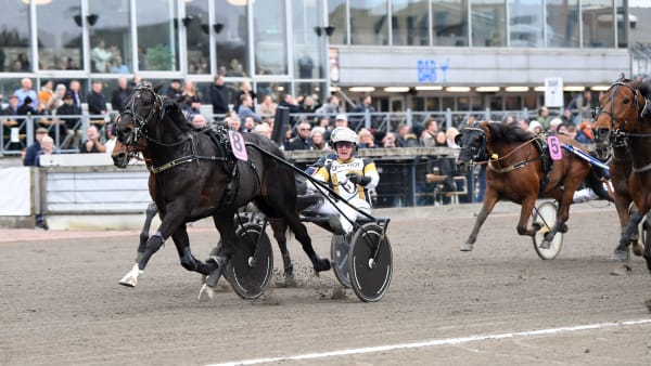 Foto: MALIN ALBINSSON / TR BILD