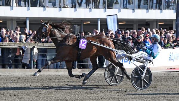 Foto: MALIN ALBINSSON / TR BILD