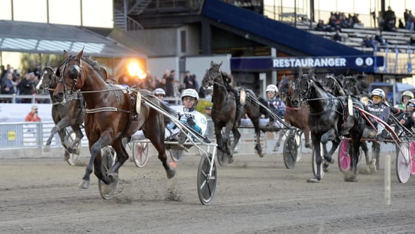 Foto: LARS JAKOBSSON / TR BILD