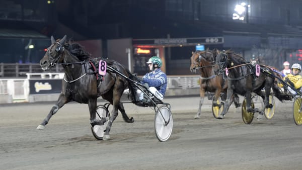 Foto: LARS JAKOBSSON / TR BILD