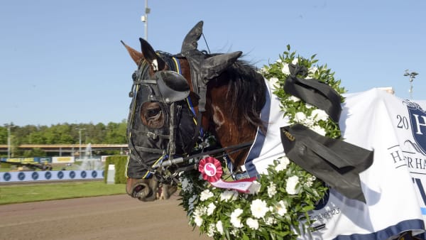 Foto: LARS JAKOBSSON / TR BILD