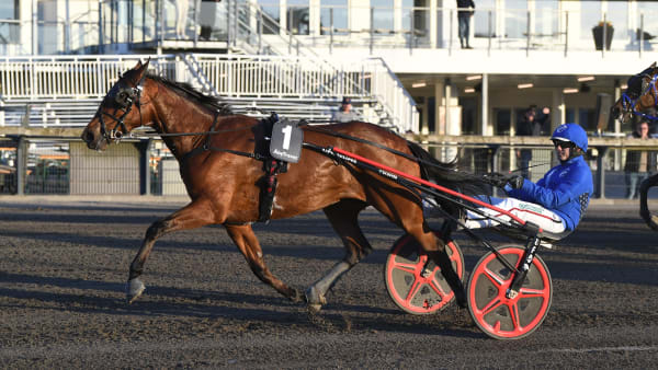 Foto: MALIN ALBINSSON / TR BILD