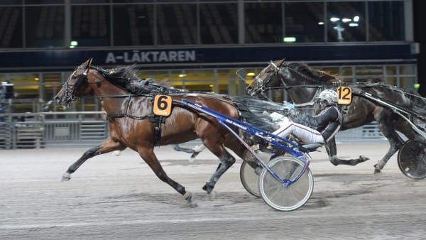 Foto: LARS JAKOBSSON / TR BILD