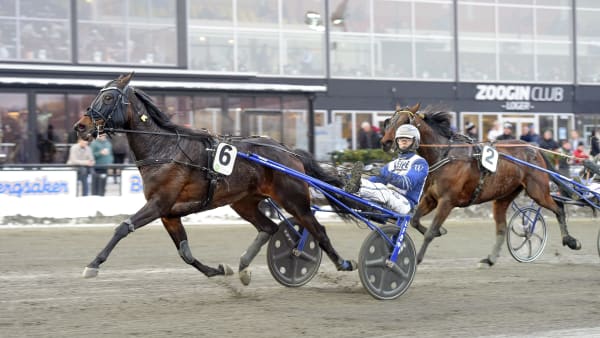 Foto: LARS JAKOBSSON / TR BILD