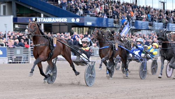 Foto: LARS JAKOBSSON / TR BILD