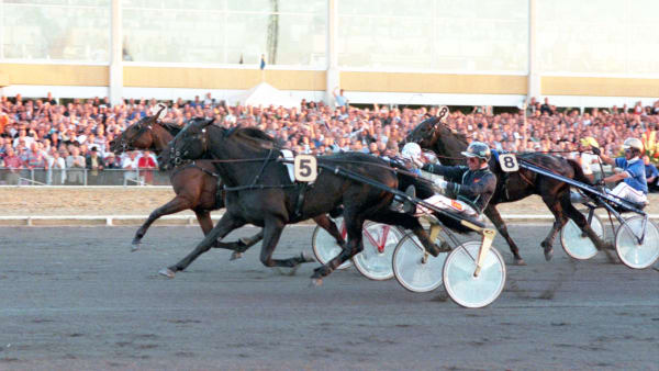 Foto: CLAES KÄRRSTRAND