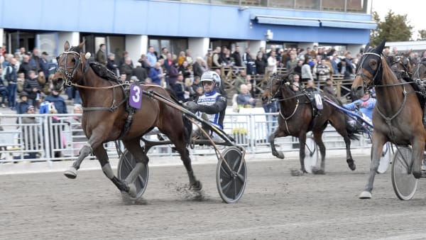 Foto: LARS JAKOBSSON / TR BILD