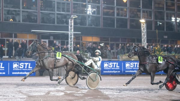 Foto: MIKAEL ROSENQUIST / TR BILD