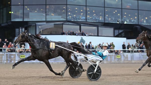 Foto: MARIA HOLMÉN / TR BILD