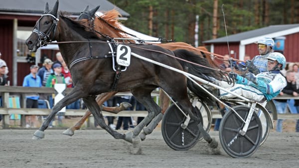 Foto: MALIN ALBINSSON / TR BILD