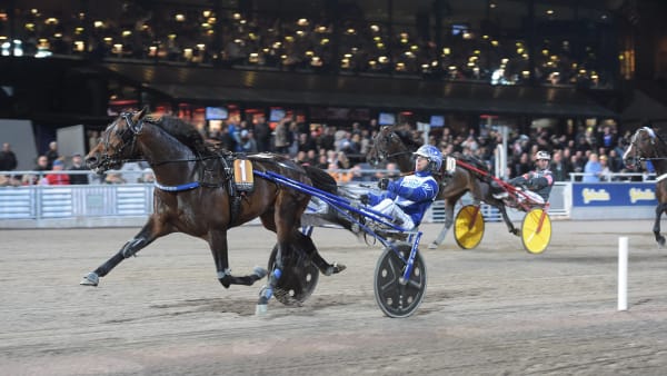 Foto: LARS JAKOBSSON / TR BILD
