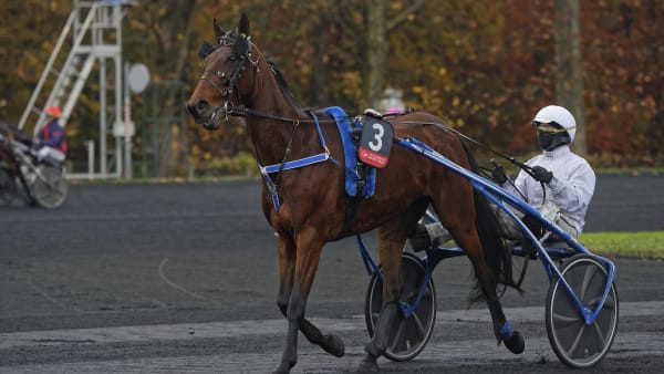 Foto: Jean-Luc Lamaère/Le Trot