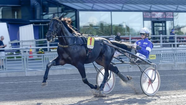 Foto: LARS JAKOBSSON/TR BILD