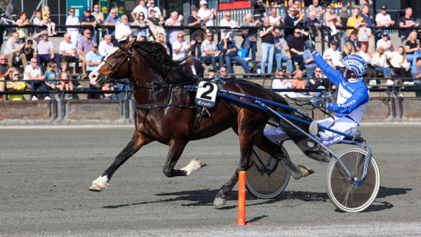 Foto: STEIN LARSEN/TRAV365.NO