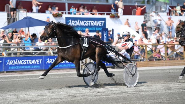 Foto: Malin Albinsson/TR Bild