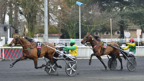 Foto: Jean-Luc Lamaère/LeTrot